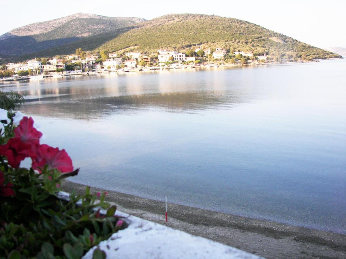 Blue Dreams Pension Almiropótamos Buitenkant foto
